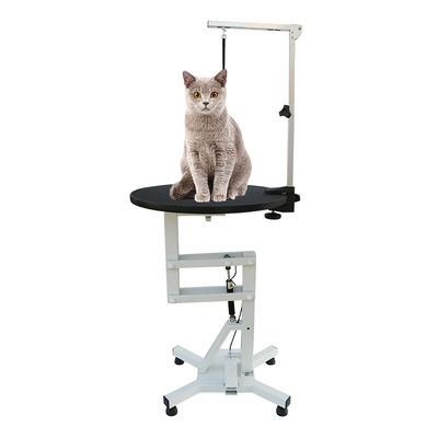 Tabela veterinária transversal elétrica da cirurgia dos SS para a preparação do animal de estimação